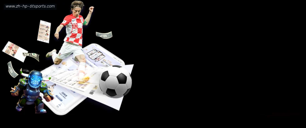 6T体育 banner