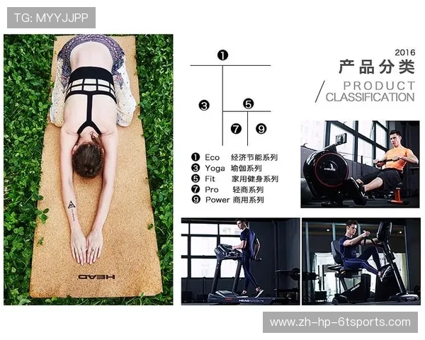 高拉力训练器如何增强背部与肩部肌肉力量